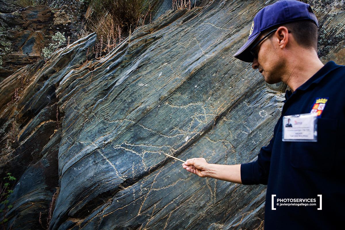 Panel 5. Es uno de los paneles más llamativos del yacimiento por su buena conservación. Todas las figuras están piqueteadas. Destaca un bóvido de gran tamaño y calidad en cuyo interior hay un cánido. Estación rupestre de Siega Verde. Patrimonio Mundial de la UNESCO. Salamanca. Castilla y León. España. © Javier Prieto Gallego