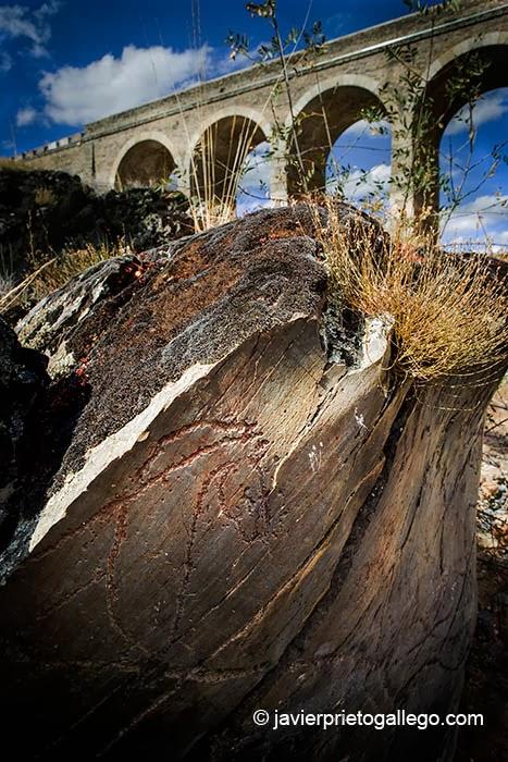 Panel 8 con caballos y toros piqueteados formando parte de la misma composición. De fondo aparece el puente que salva el río Águeda por encima del yacimiento. Estación rupestre de Siega Verde. Patrimonio Mundial de la UNESCO. Salamanca. Castilla y León. España. © Javier Prieto Gallego