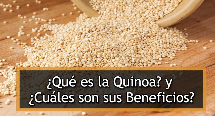 Los mejores consejos y beneficios de la quinoa