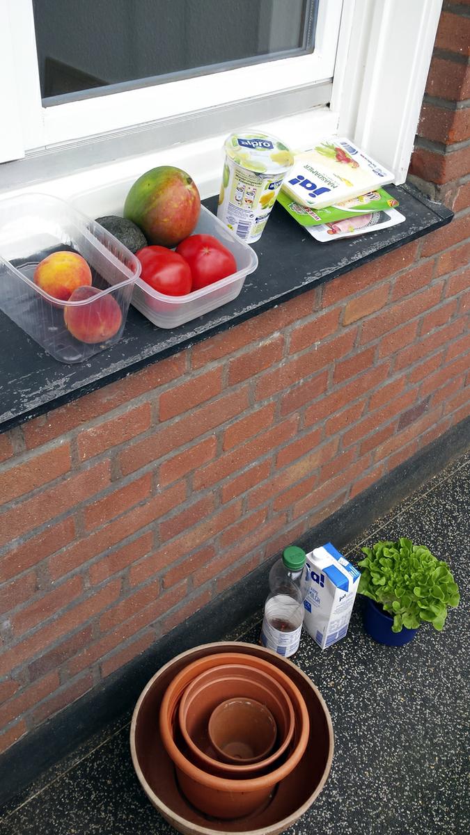 primer año alemania