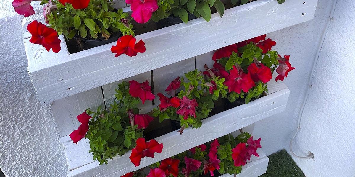 Maceteros con palets