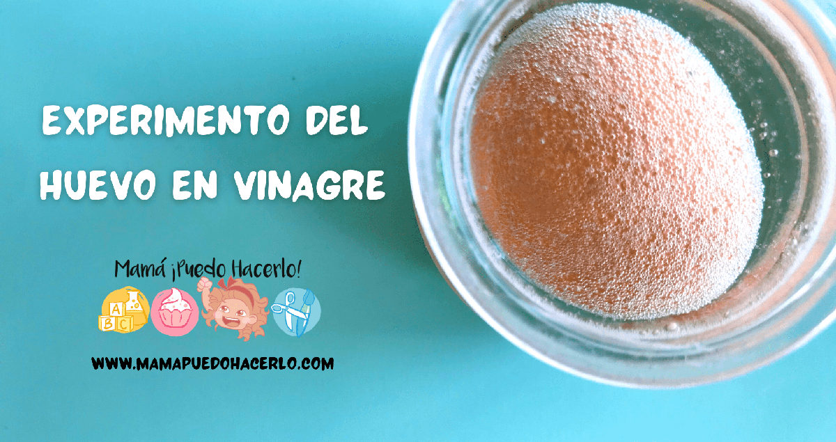 Experimento del huevo en vinagre