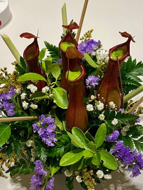 Todo es verXO en diverXO