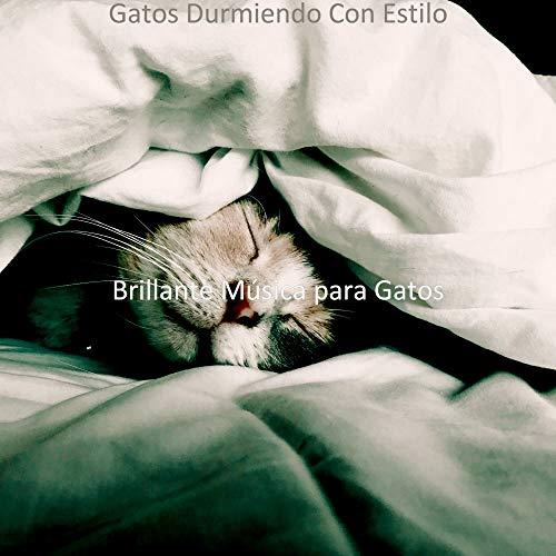 Hora de la Siesta del Gato, Famoso