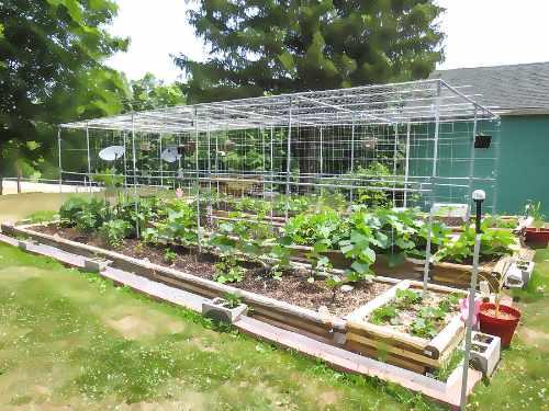 huerto urbano monterrey