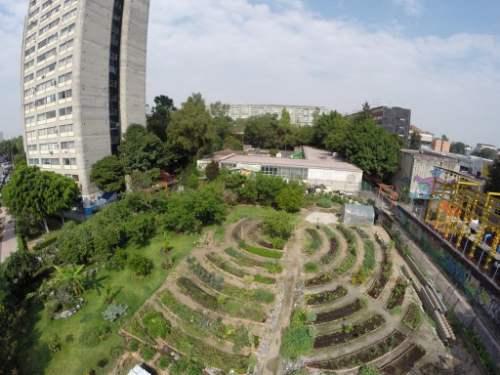 que se necesita para un huerto urbano