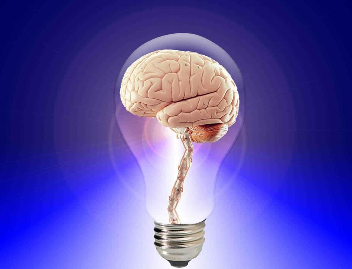 Modelos factoriales de inteligencia humana