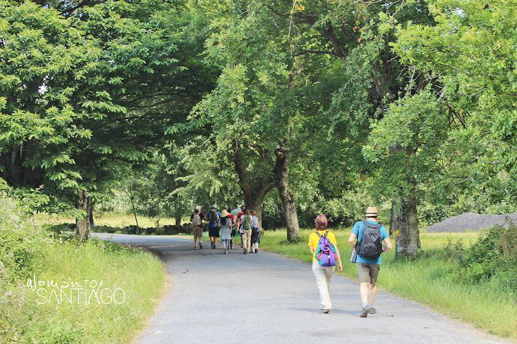 Etapa de Sarria a Portomarín