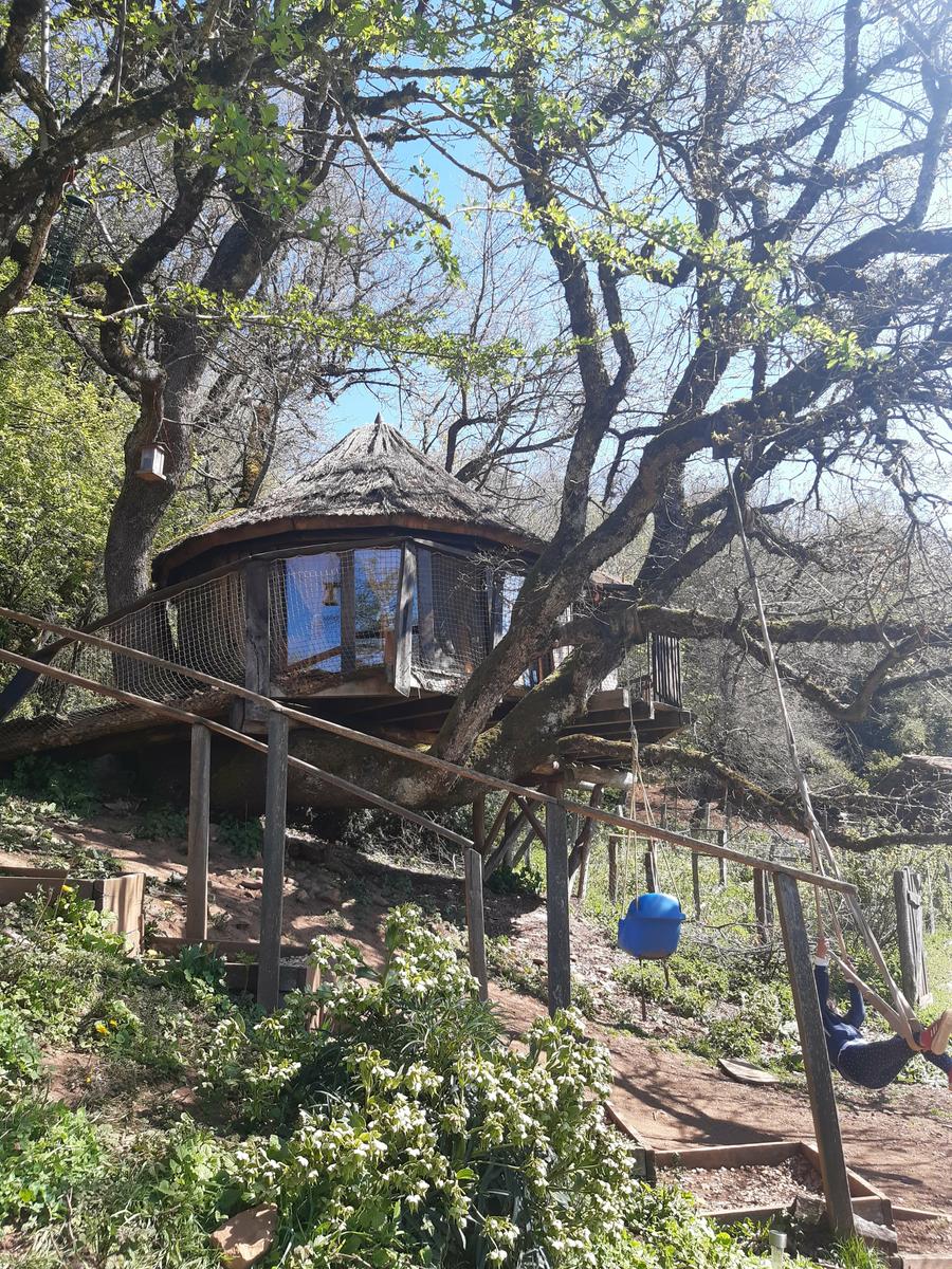 cabaña del arbol en agroturismo maricruz