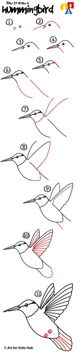 como pintar un colibrí