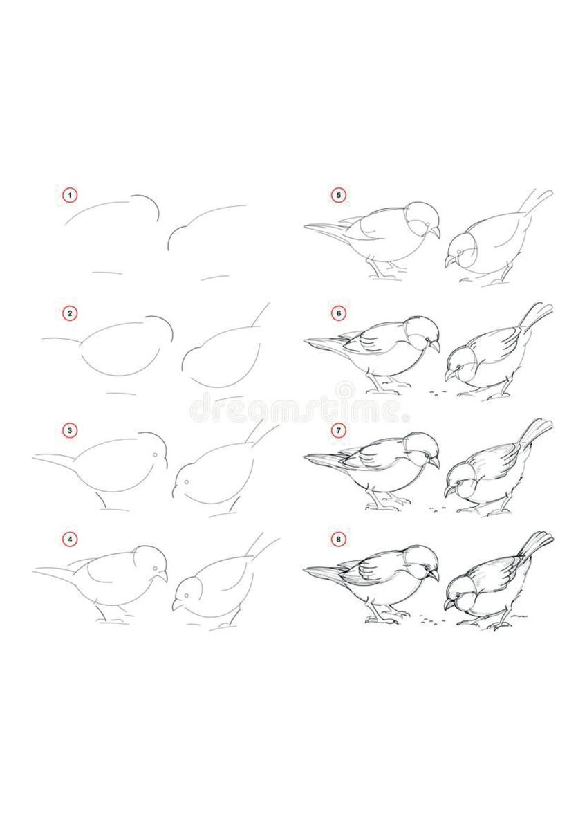 manualidades pintar pajaros