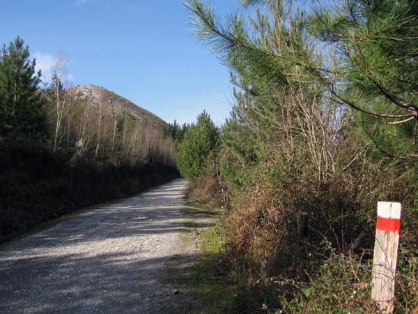 Buen firme y objetivo a la vista