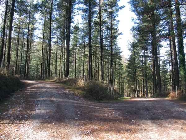 Hacia la izquierda, camarada