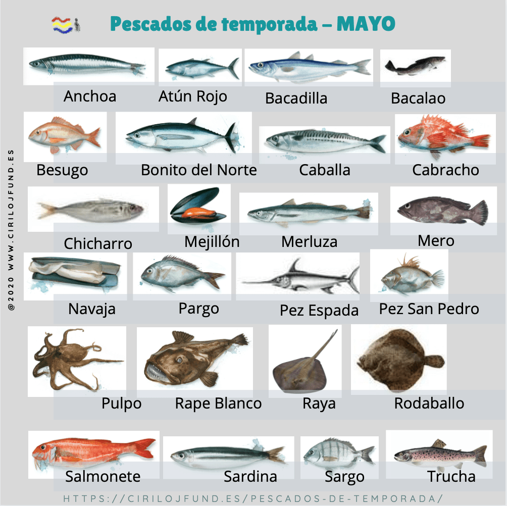 pescado de temporada en mayo