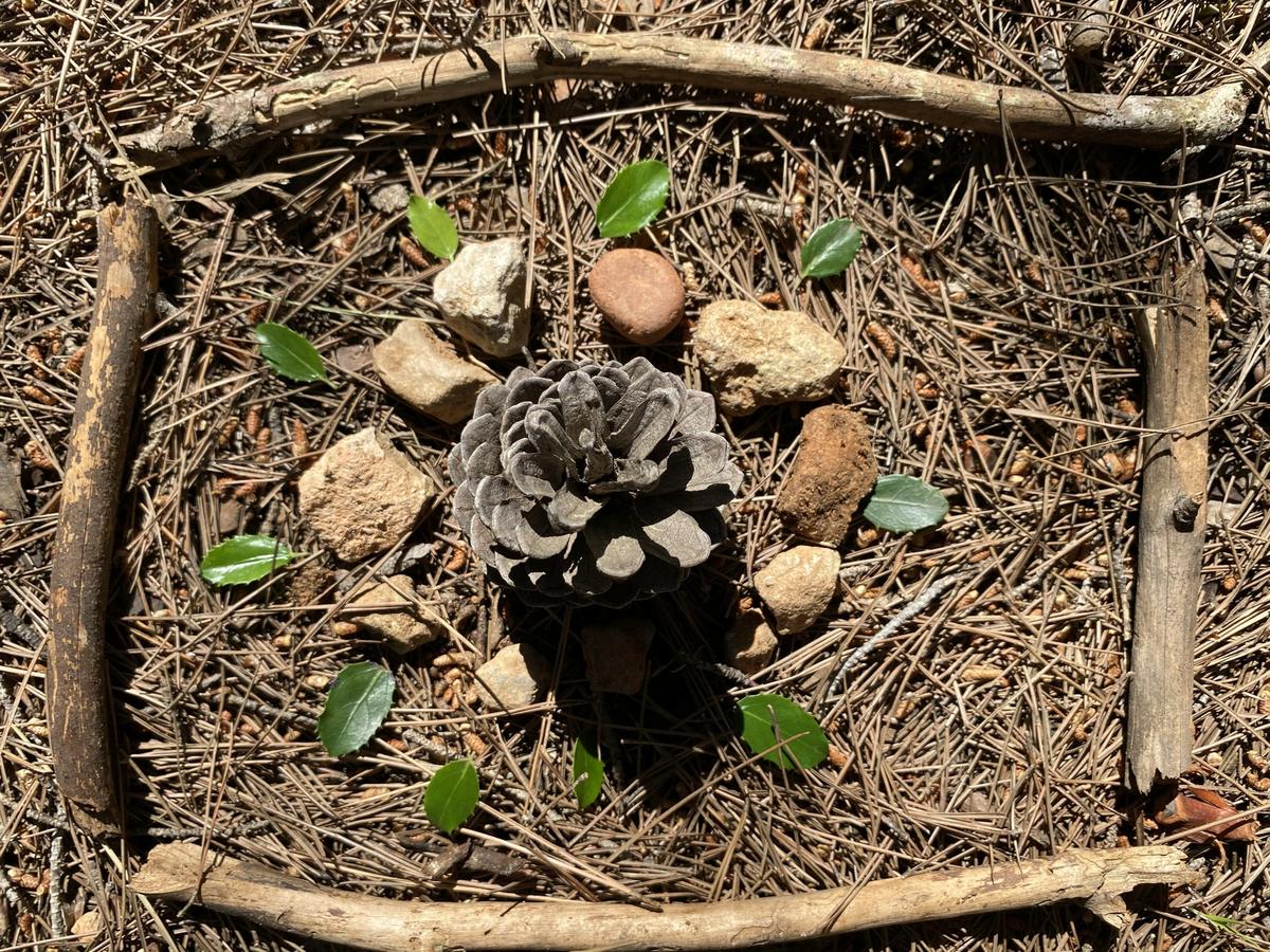 Mandala hecho piñas y otros elementos naturales