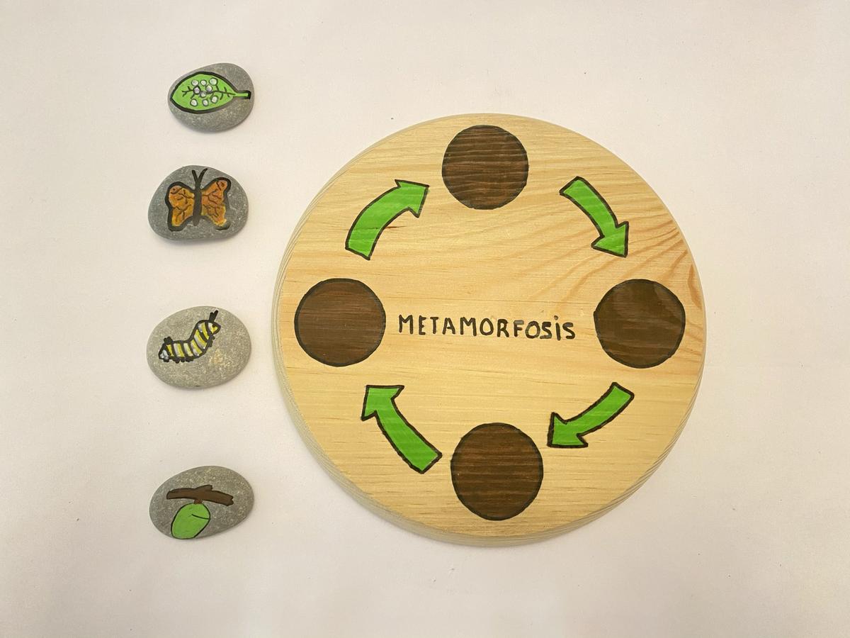 ciclo de las mariposas en madera y piedras