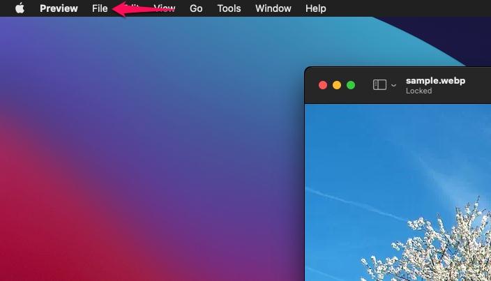 Cómo convertir imágenes WebP a JPG en Mac