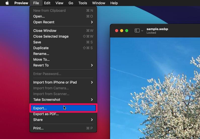 Cómo convertir imágenes WebP a JPG en Mac