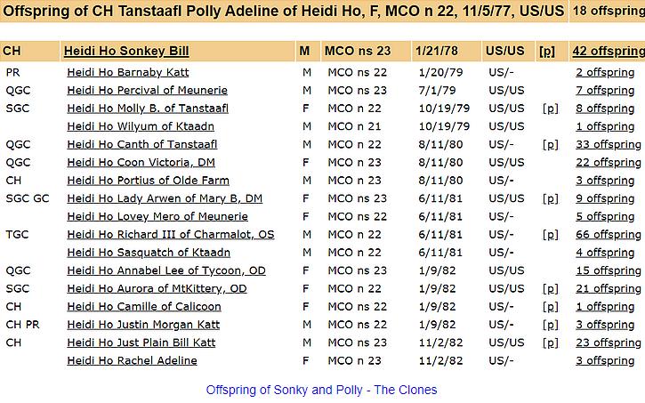 Offspring of Sonky and Polly - The Clones