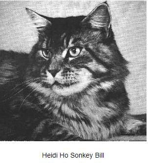 Heidi Ho Sonkey Bill