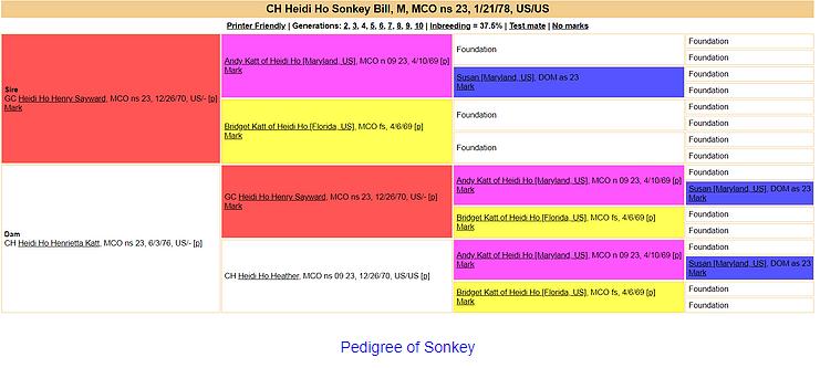 Pedigree of Sonkey
