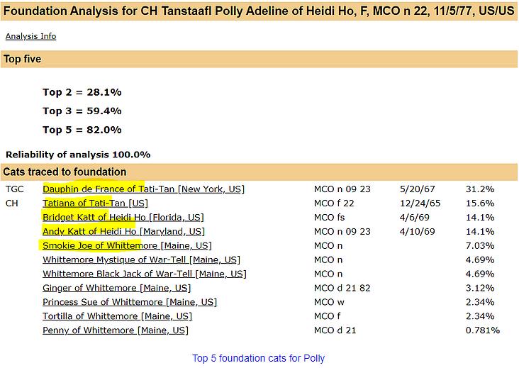Top 5 foundation cats for Polly
