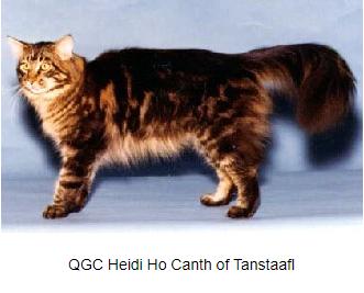 QGC Heidi Ho Canth of Tanstaafl