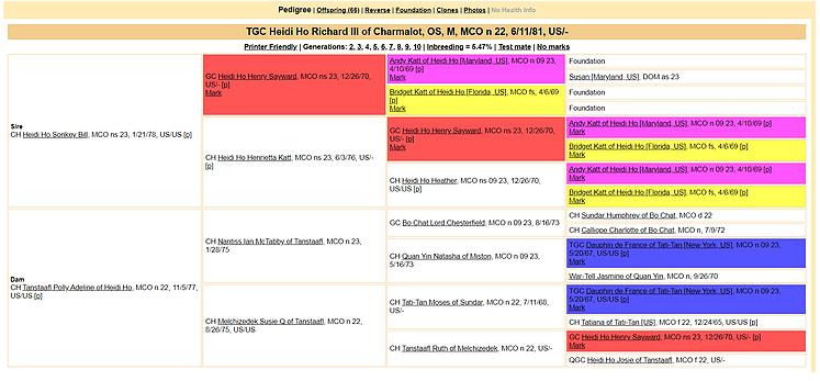TGC Heidi Ho Richard III of Charmalot