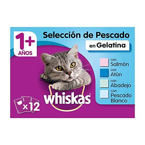 Whiskas Comida Húmeda para Gatos Selección Pescados en Gelatina, Multipack (4 cajas x 12 bolsitas x 100g)