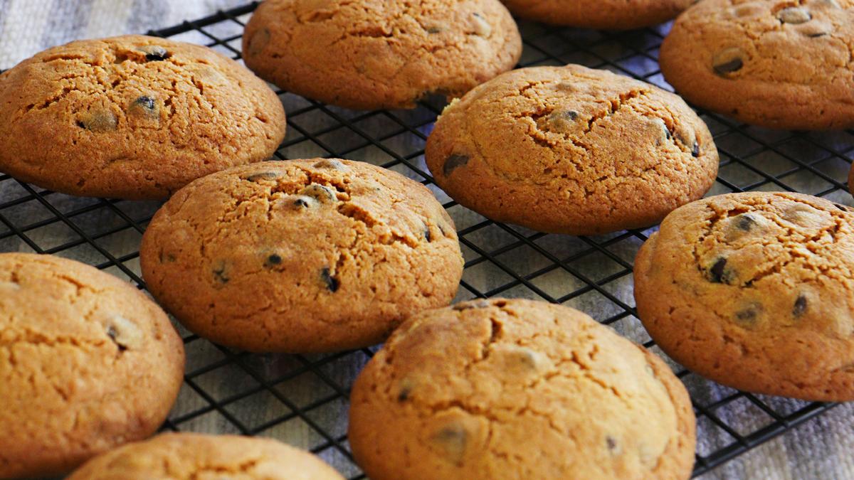 galletas con chips de chocolate galletitas cookies
