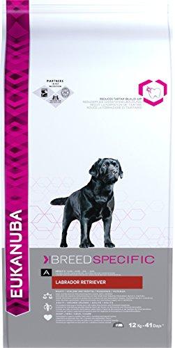 EUKANUBA Breed Specific Alimento seco para perros labrador retriever adultos, alimento para perros óptimamente adaptado a la raza 12 kg