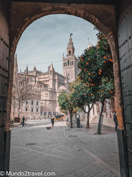 Qué ver en Sevilla, la Giralda desde la salida del Alcazar