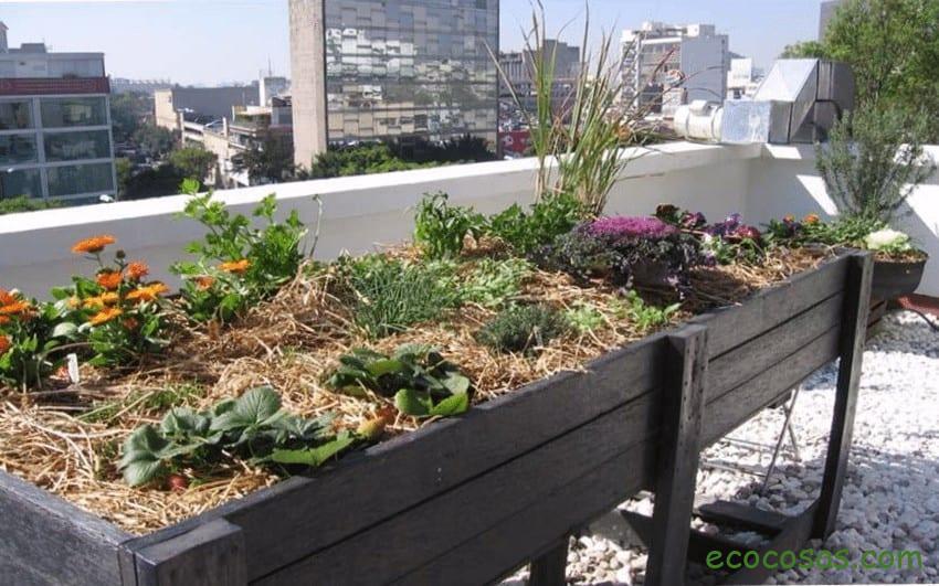 Huerto En Macetas O Macetohuerto Qué Plantar Y Cómo Empezar Ecología 3274