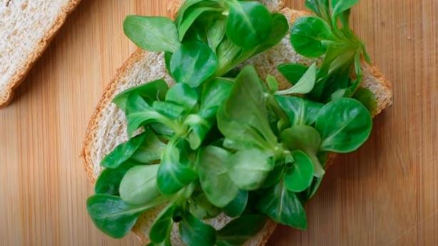 poner primero los canonigos