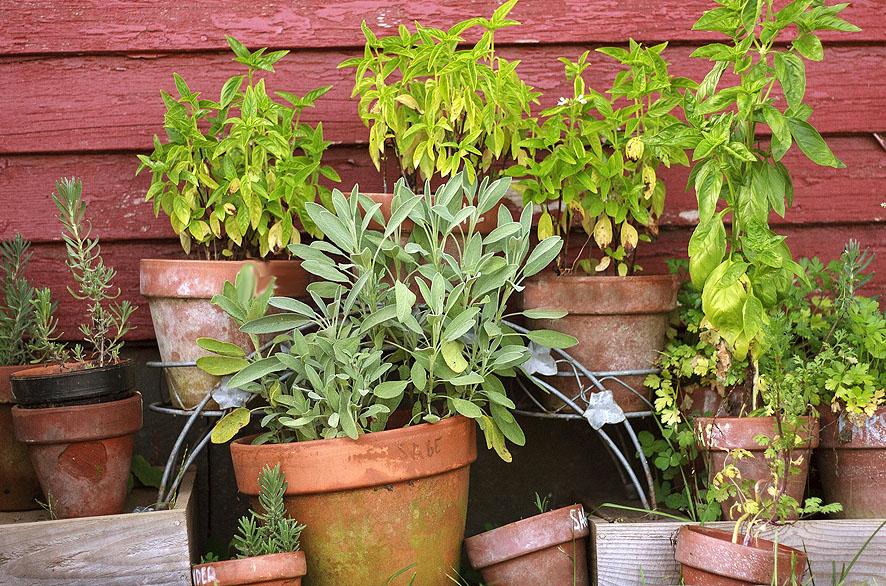 Cómo convertir tu balcón en un jardín