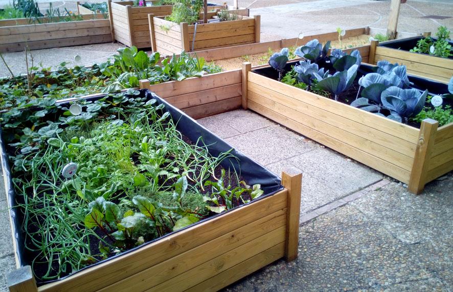 cómo convertir tu balcón en un jardín y huerto
