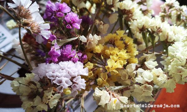 Flores secas seis meses después de cortarlas