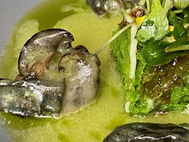 Felicidad Saludable. Lafayette