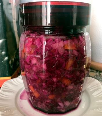 poner un plato debajo para la fermentacion del probiotico