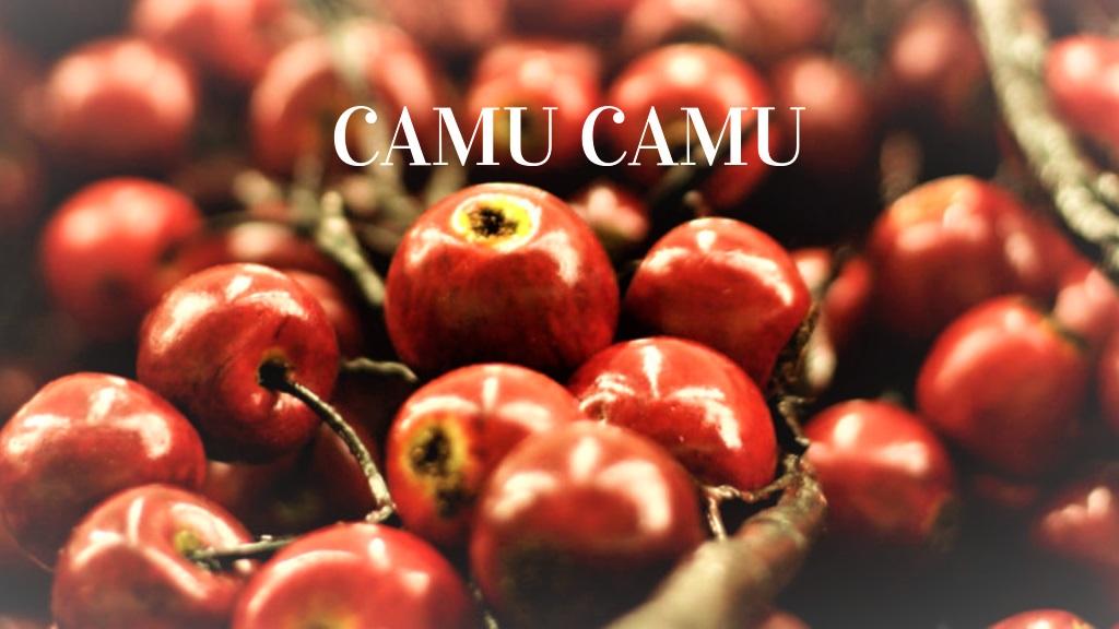 Camu camu: 7 Beneficios y Recetas (+Información) 2