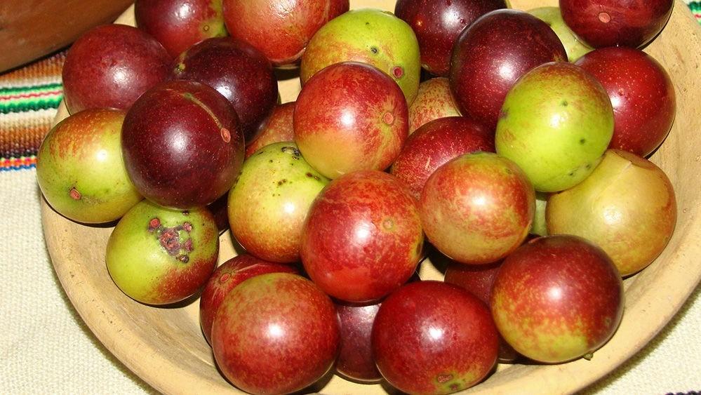 Camu camu: 7 Beneficios y Recetas (+Información) 3
