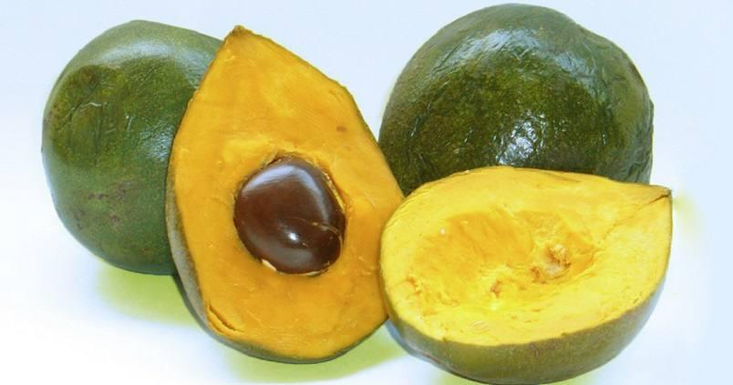 Lúcuma: 7 Beneficios y Propiedades geniales 11