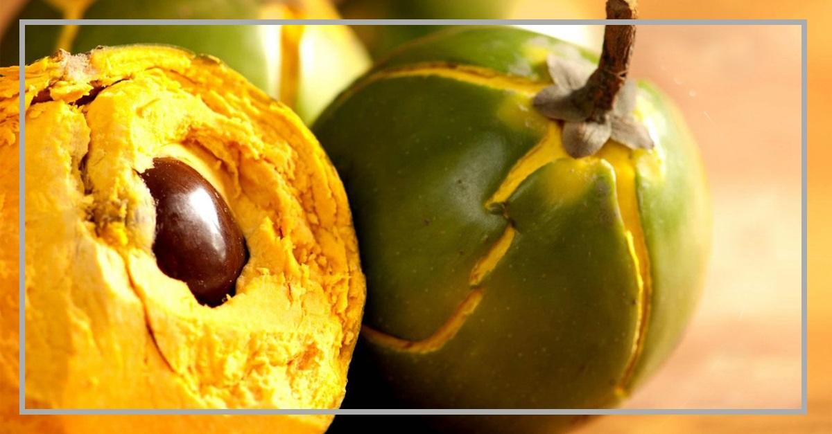 Lúcuma - Beneficios y Propiedades