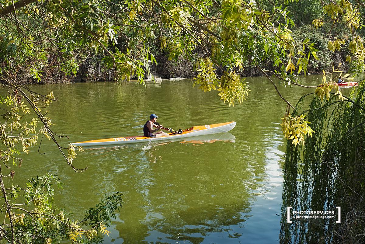 Piragüismo en el canal de la isla de los Bañaderos. Paseo fluvial de Zamora junto a río Duero. Castilla y León. España. © Javier Prieto Gallego