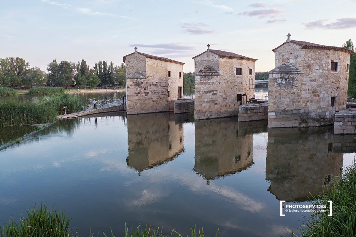 Aceñas de Olivares. Paseo fluvial de Zamora junto a río Duero. Zamora. Castilla y León. España. © Javier Prieto Gallego