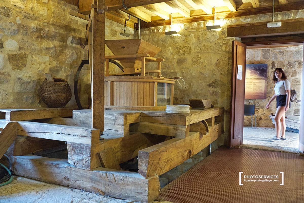 Interior de las Aceñas de Olivares. Paseo fluvial de Zamora junto a río Duero. Zamora. Castilla y León. España. © Javier Prieto Gallego