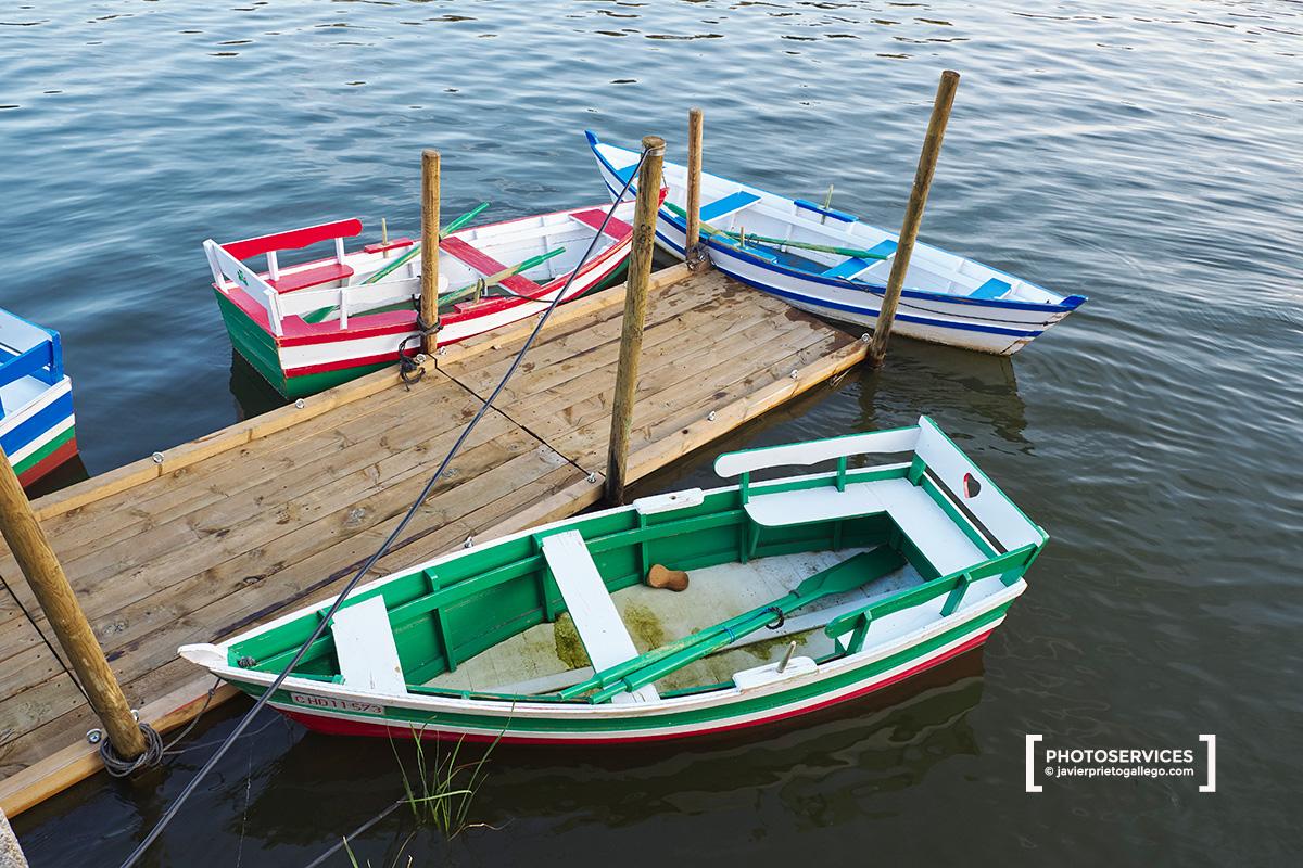 Barcas de remo junto amarradas en las Aceñas de Olivares con la catedral al fondo. Paseo fluvial de Zamora junto a río Duero. Zamora. Castilla y León. España. © Javier Prieto Gallego