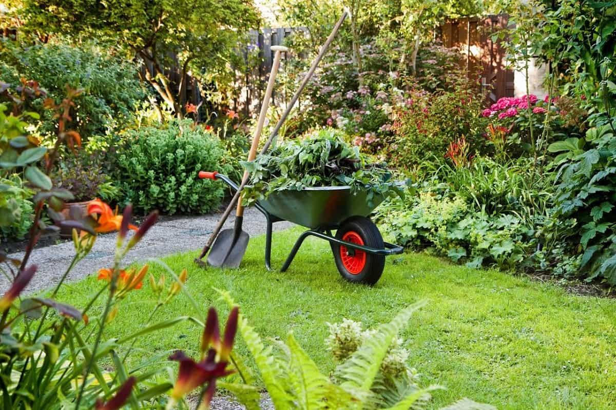Cómo cuidar el jardín como un profesional | Plantas