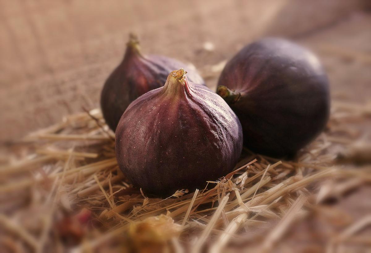 Higos: 7 Beneficios y Propiedades importantes (+Info) 17