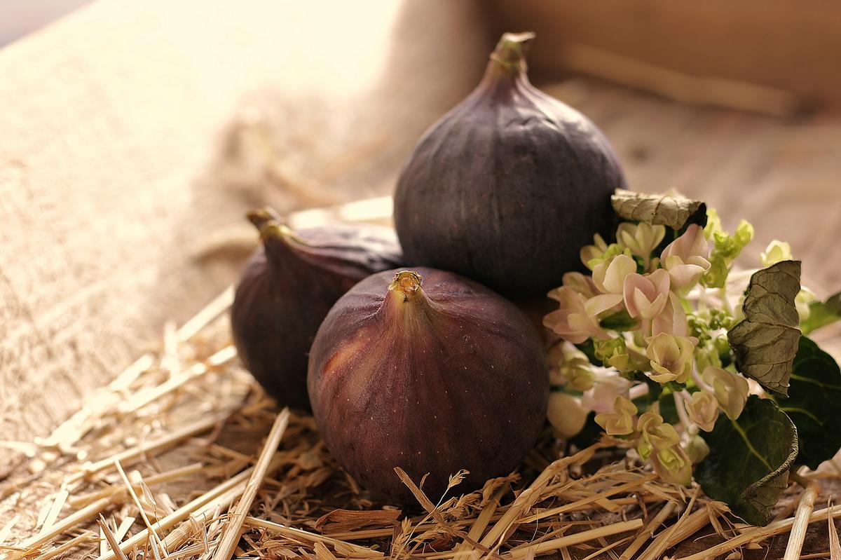 Higos: 7 Beneficios y Propiedades importantes (+Info) 18